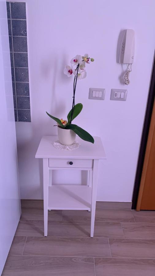 Holidays Apartment كالياري المظهر الخارجي الصورة